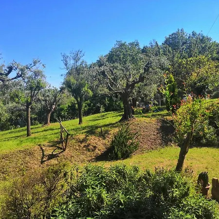 Holiday home La Grande Quercia *